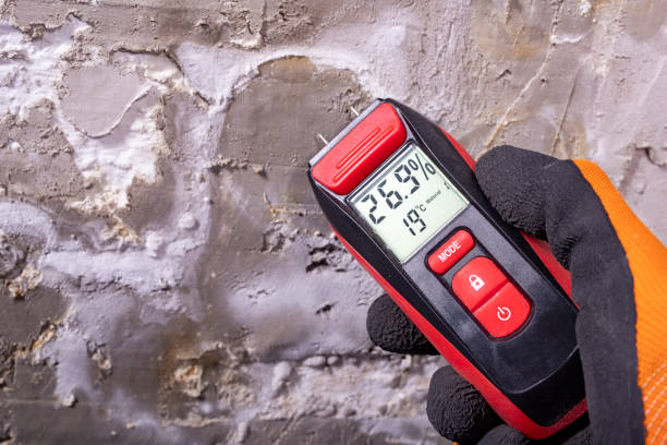 Best Affordable Mold Removal  in Luling, TX