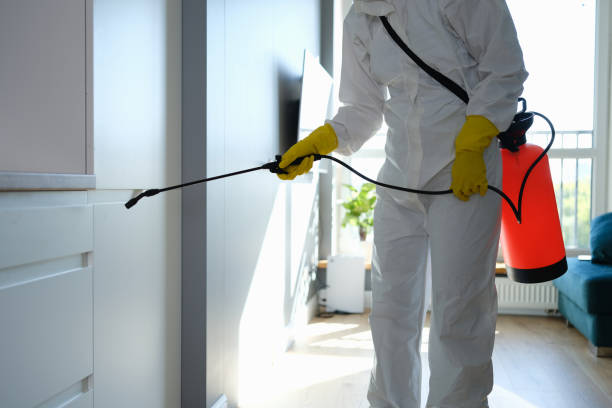 Best Toxic Mold Removal  in Luling, TX