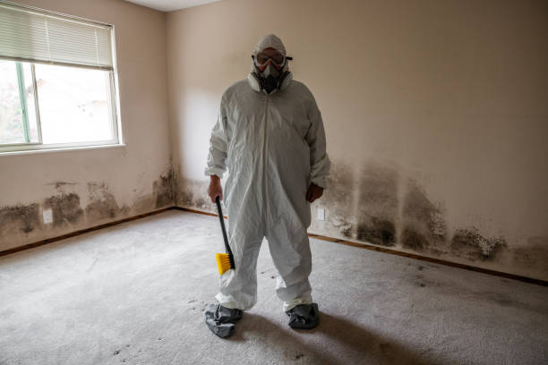 Best Mold Testing  in Luling, TX